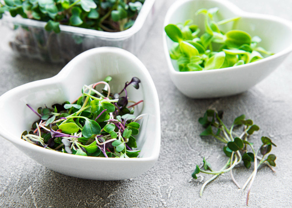 Heal Your Body: Microgreens Naturally Detoxify The Body