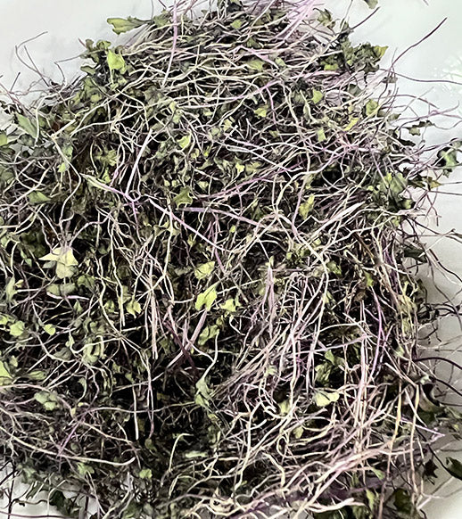 Dehydrated and Dried Red Acre Cabbage Microgreens -3