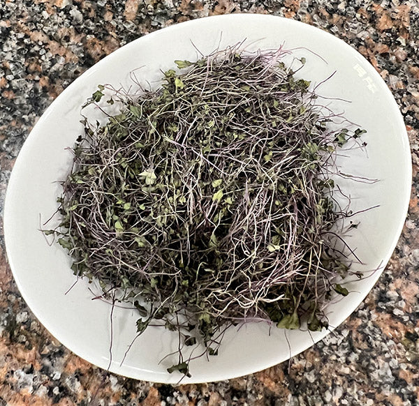 Dehydrated and Dried Red Acre Cabbage Microgreens -5