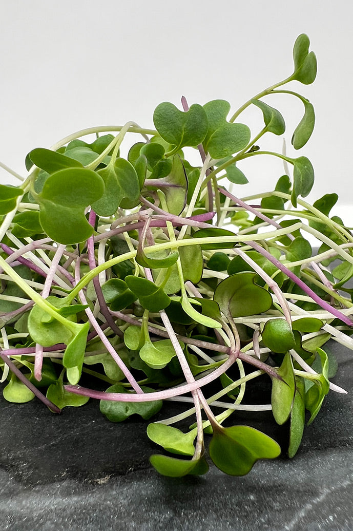 Arizona Artisan Microgreens  Healthy Happy Premium Microgreen Mix-1