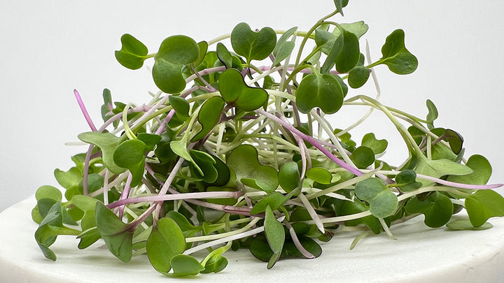 Arizona Artisan Microgreens  Healthy Happy Premium Microgreen Mix-2