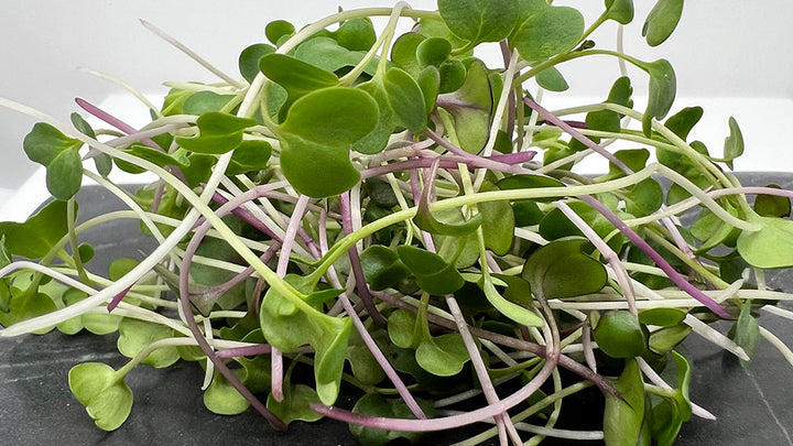 Arizona Artisan Microgreens  Healthy Happy Premium Microgreen Mix-4