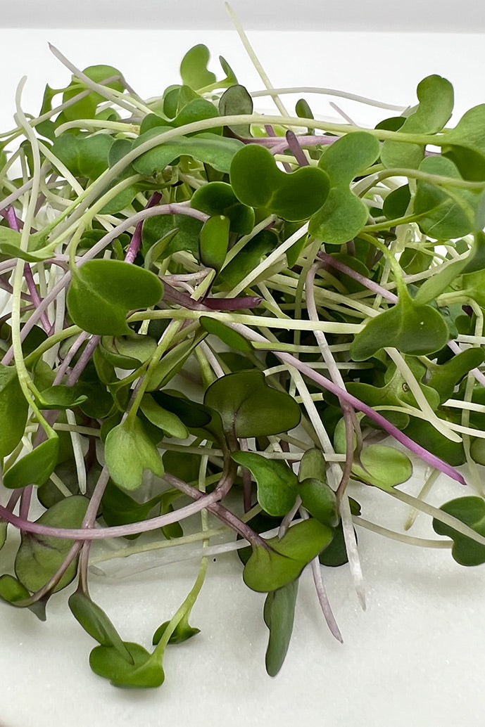 Arizona Artisan Microgreens  Healthy Happy Premium Microgreen Mix-