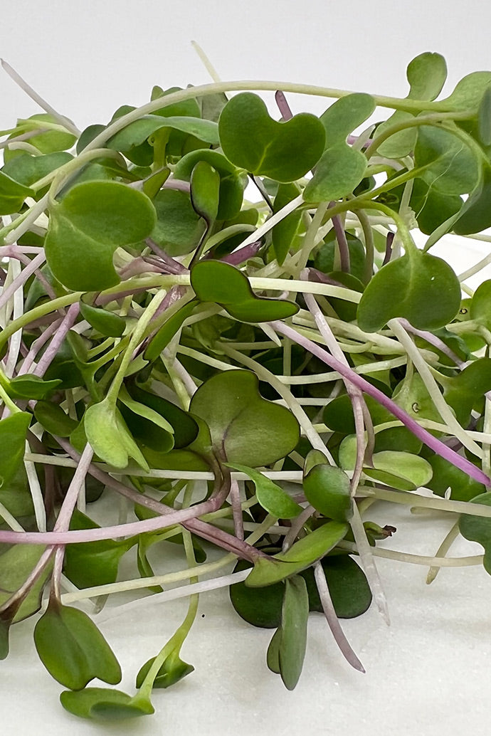 Arizona Artisan Microgreens  Healthy Happy Premium Microgreen Mix-3